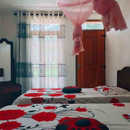 Pleasure Mount Homestay Ella Exteriér fotografie